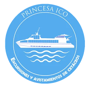 Catamarán Princesa Ico